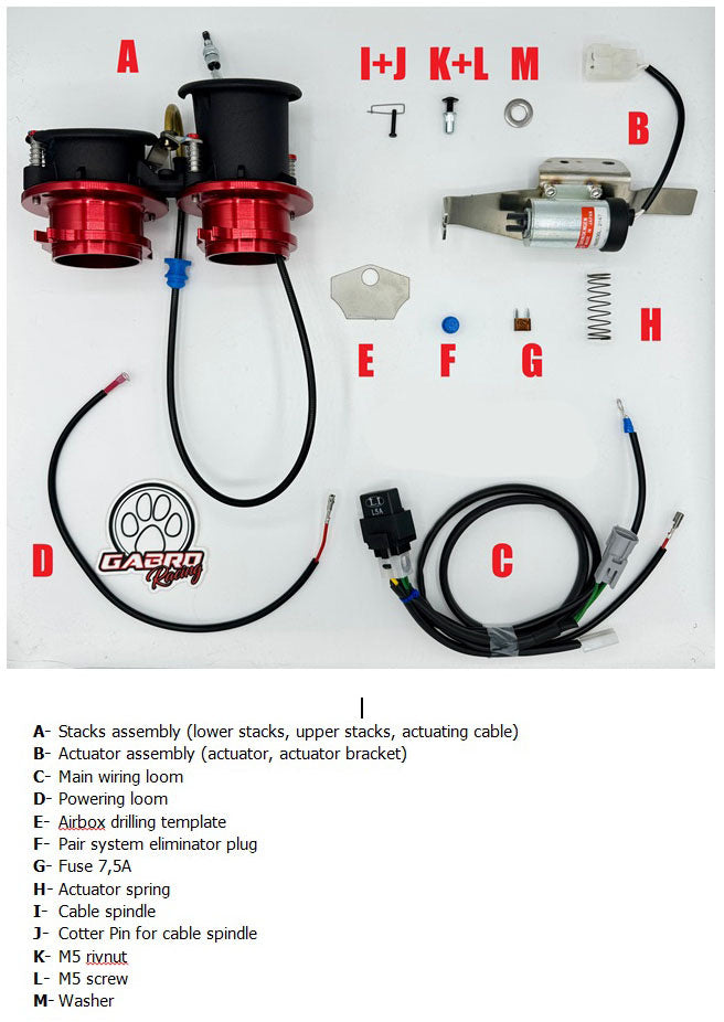 Gabro Racing Team Variable Velocity Stacks Kit for Aprilia RS 660