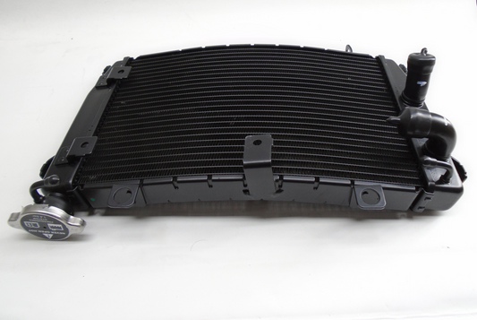 OEM Aprilia Radiator