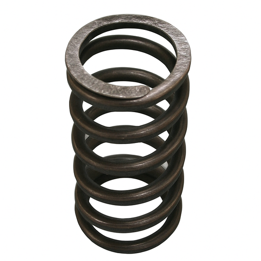 OEM Aprilia Clutch Spring