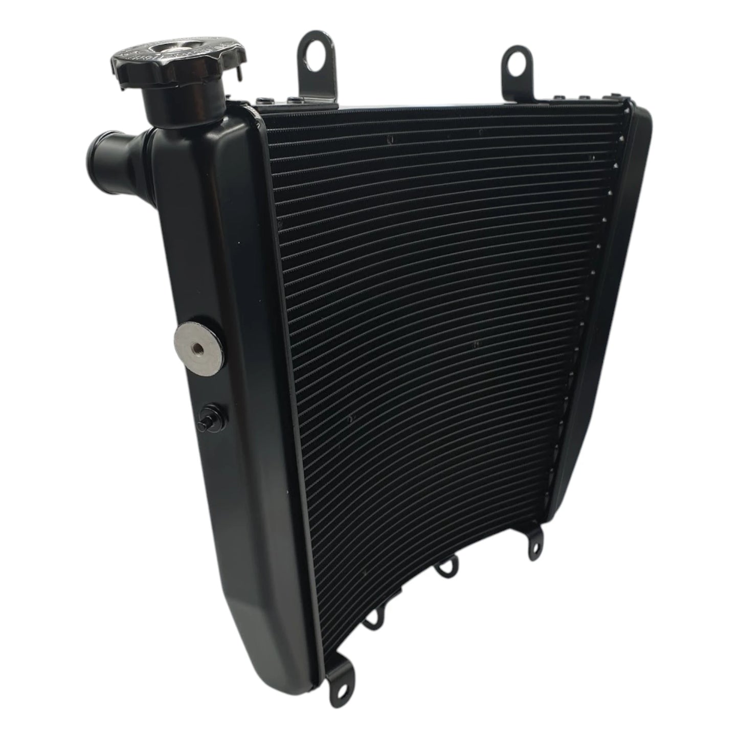 OEM Aprilia Radiator