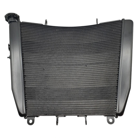 OEM Aprilia Radiator