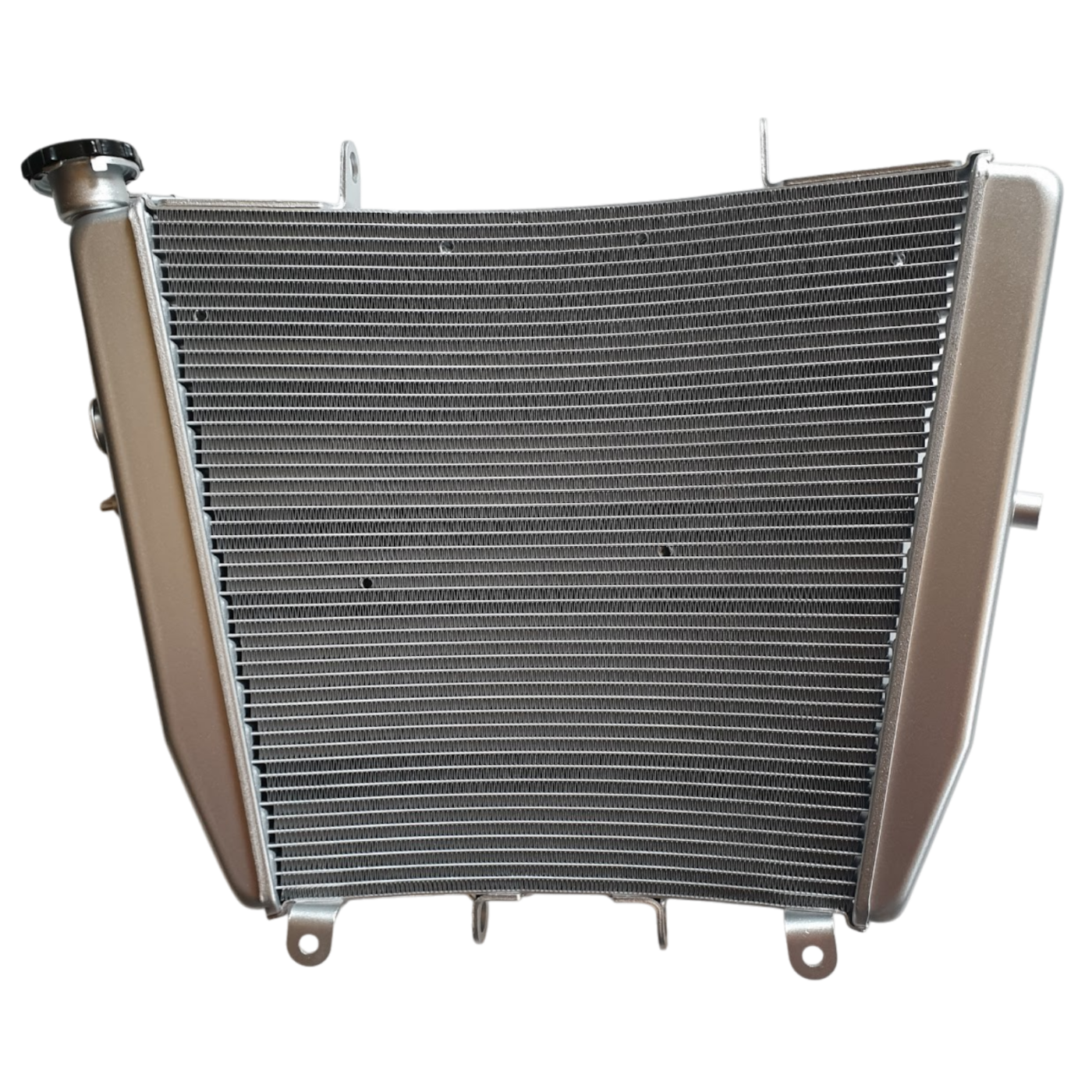 OEM Aprilia Radiator
