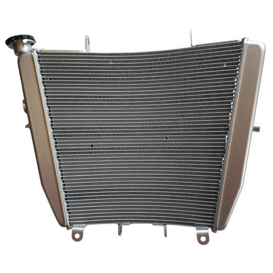 OEM Aprilia Radiator