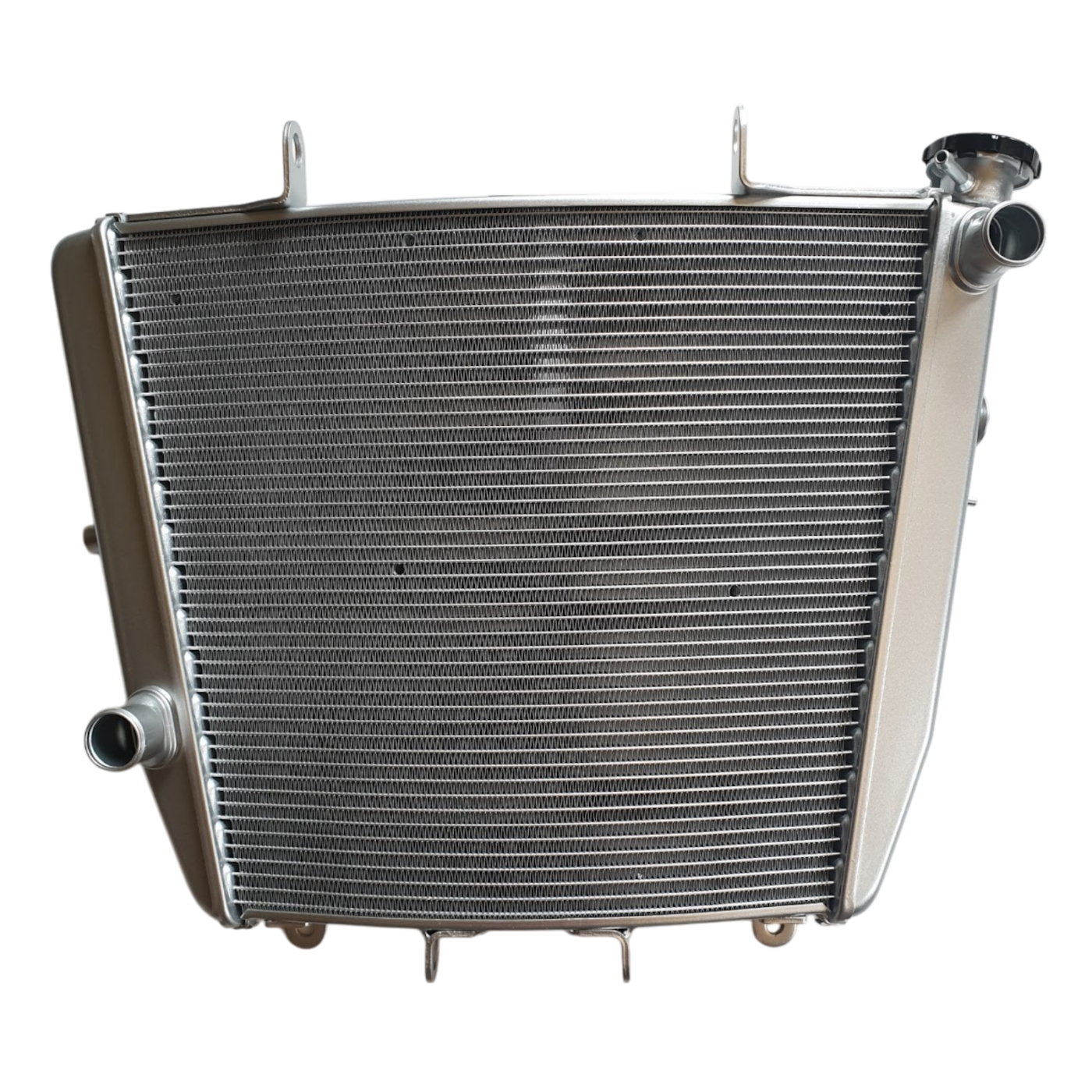 OEM Aprilia Radiator