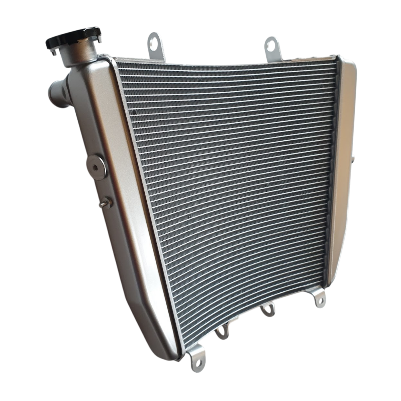 OEM Aprilia Radiator