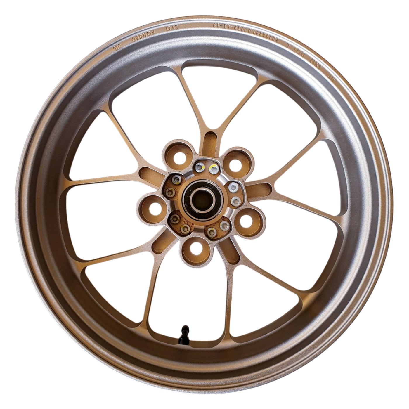 OEM Aprilia Forged Aluminum Rear Wheel - Titanium Color