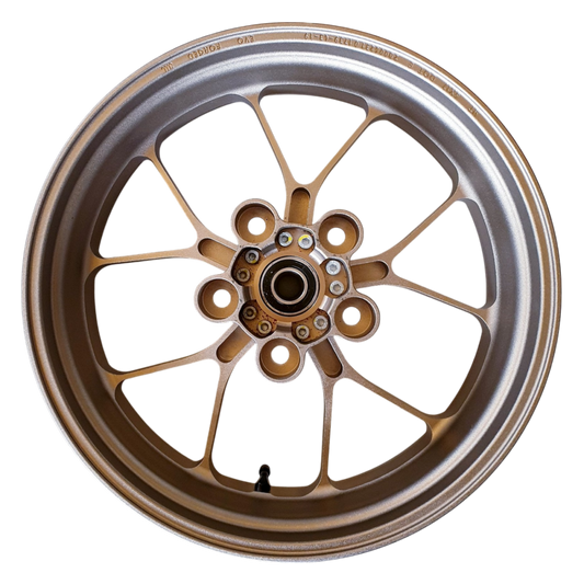 OEM Aprilia Forged Aluminum Rear Wheel - Titanium Color