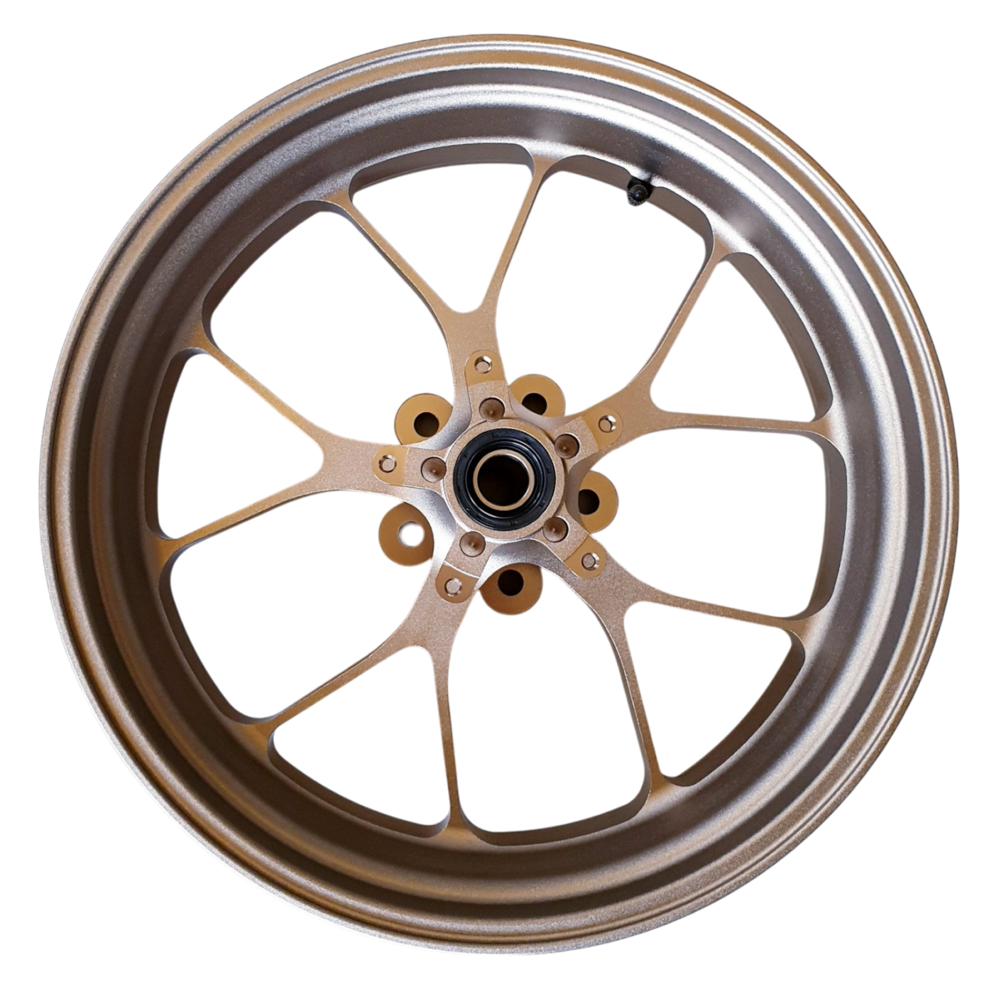 OEM Aprilia Forged Aluminum Rear Wheel - Titanium Color