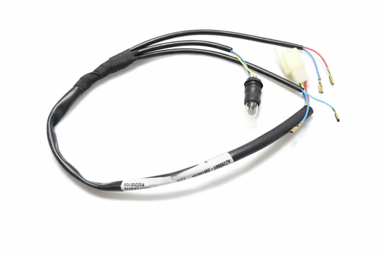 OEM Aprilia Taillight Wiring Harness
