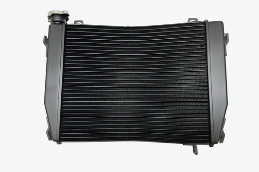 OEM Aprilia Radiator